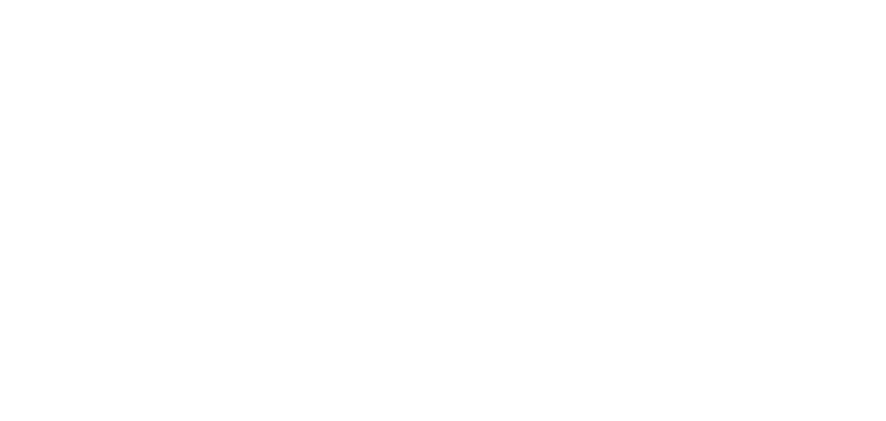 friesens logo